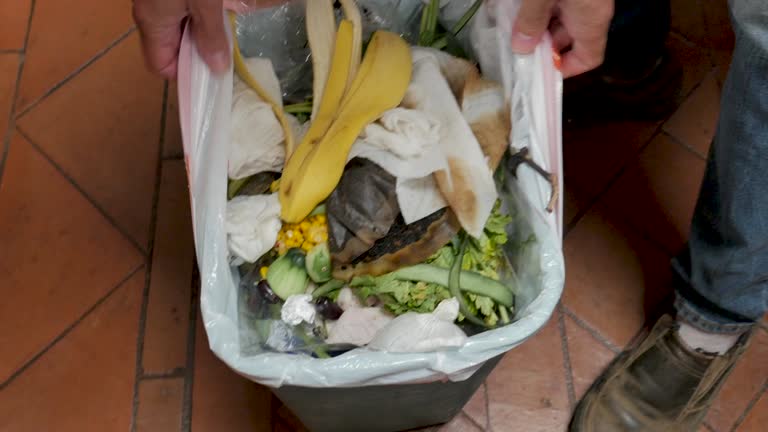 Best Dumpster Rental Services  in Dansville, NY